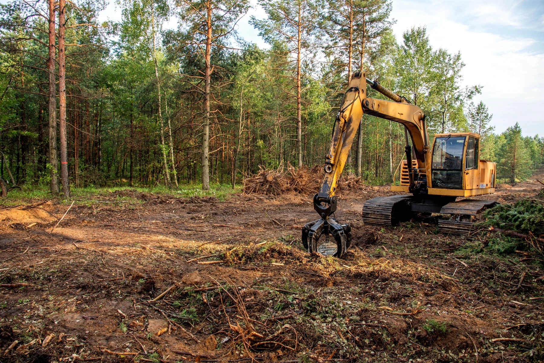 Land clearing services wisconsin